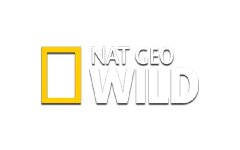 Nat Geo Wild онлайн